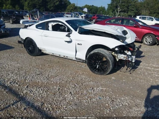 FORD FORD MUSTANG GT