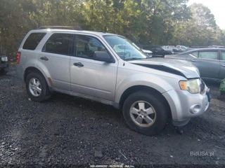 FORD FORD ESCAPE XLT