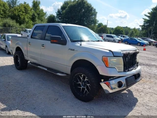 FORD FORD F-150 FX2 SPORT/HARLEY-DAVIDSON/KING RANCH/LARIAT/PLATINUM/XL/XLT
