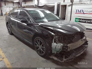 TOYOTA TOYOTA CAMRY SE