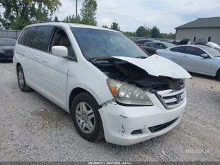 HONDA HONDA ODYSSEY EX-L