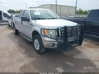 FORD FORD F-150 XLT