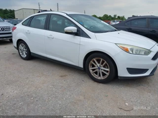 FORD FORD FOCUS SE