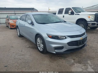 CHEVROLET CHEVROLET MALIBU 1LT