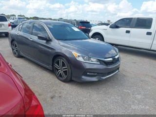 HONDA HONDA ACCORD SPORT