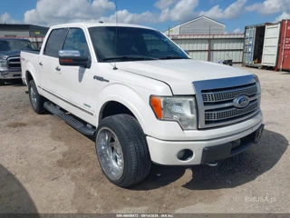 FORD FORD F-150 PLATINUM