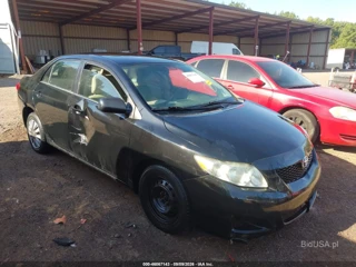 TOYOTA TOYOTA COROLLA LE