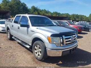FORD FORD F-150 XLT