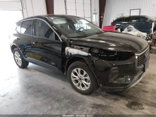 FORD FORD ESCAPE ACTIVE