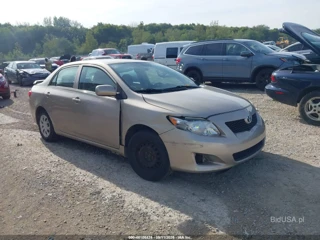 TOYOTA TOYOTA COROLLA LE