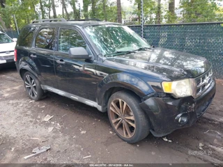 FORD FORD ESCAPE XLT