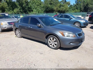 HONDA HONDA ACCORD 3.5 EX-L