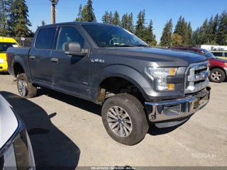 FORD FORD F-150 XLT