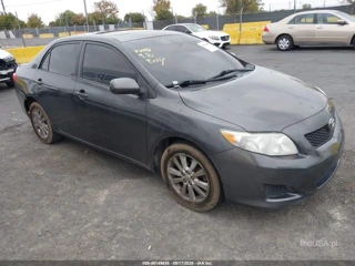 TOYOTA TOYOTA COROLLA XLE
