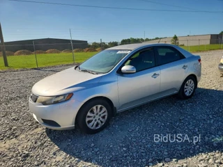 KIA FORTE EX