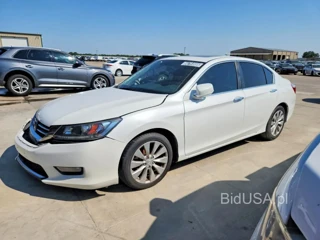 HONDA ACCORD EXL