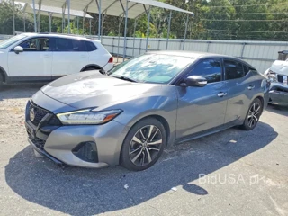 NISSAN MAXIMA SV