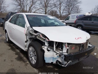 TOYOTA TOYOTA CAMRY LE