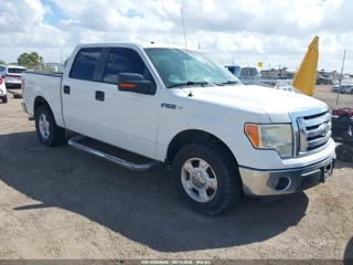 FORD FORD F-150 XLT