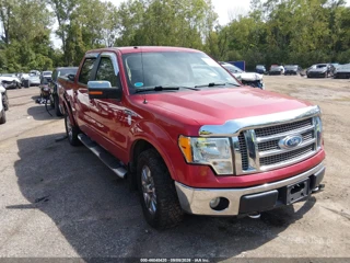FORD FORD F-150 FX4/KING RANCH/LARIAT/PLATINUM/XL/XLT