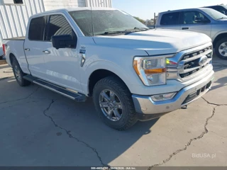 FORD FORD F-150 XLT