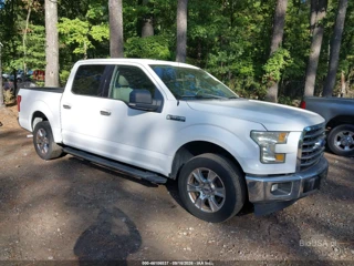 FORD FORD F-150 XLT