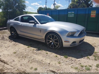 FORD FORD MUSTANG V6