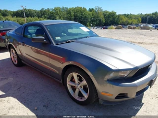 FORD FORD MUSTANG V6/V6 PREMIUM