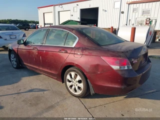 HONDA HONDA ACCORD 2.4 EX-L