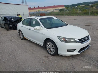 HONDA HONDA ACCORD EX