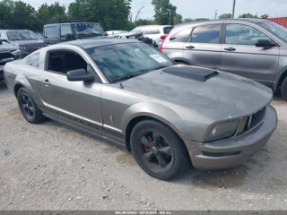 FORD FORD MUSTANG V6 DELUXE/V6 PREMIUM