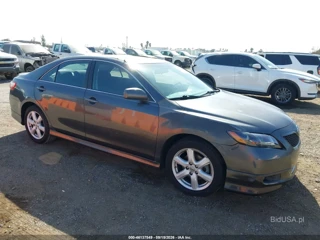 TOYOTA TOYOTA CAMRY SE