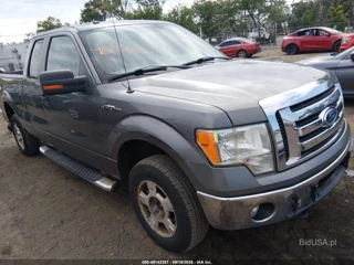 FORD FORD F-150 XLT