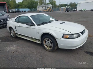 FORD FORD MUSTANG