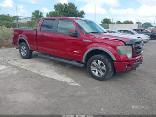 FORD FORD F-150 FX4