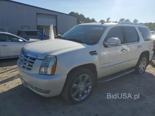 CADILLAC ESCALADE LUXURY