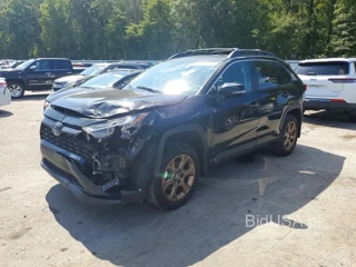 TOYOTA RAV4 WOODLAND EDITION