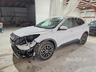 FORD ESCAPE SEL