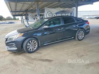 HYUNDAI SONATA SPORT