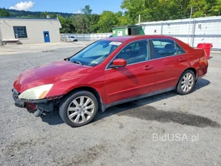 HONDA ACCORD SE