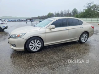 HONDA ACCORD EXL