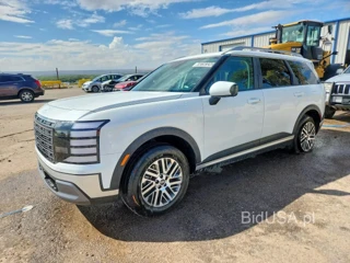 HYUNDAI PALISADE SEL