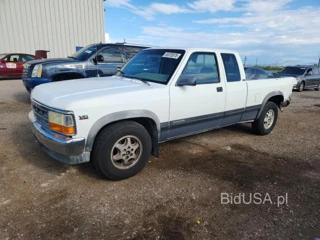 DODGE DAKOTA