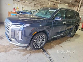 HYUNDAI PALISADE CALLIGRAPHY