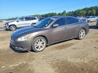 NISSAN MAXIMA 3.5 S