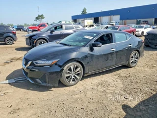 NISSAN MAXIMA SV