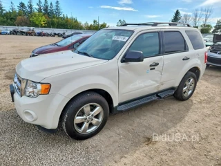 FORD ESCAPE XLT