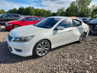 HONDA ACCORD SPORT