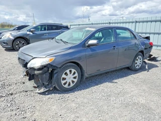 TOYOTA COROLLA BASE