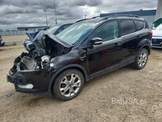 FORD ESCAPE SEL